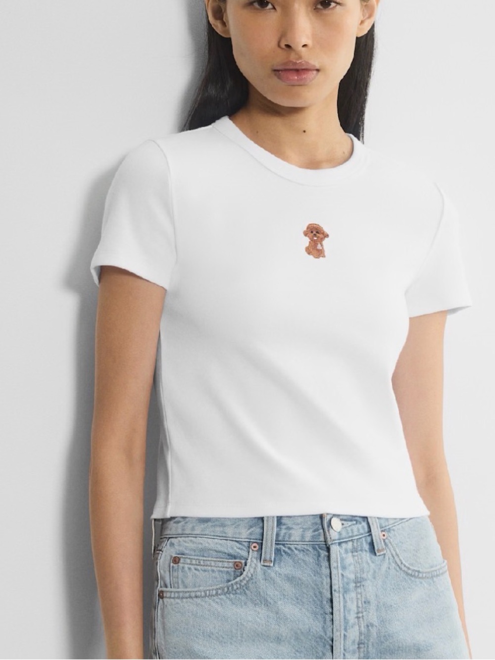 Aritzia Sunday Best BestHug Little Ribbed Icon T-Shirt